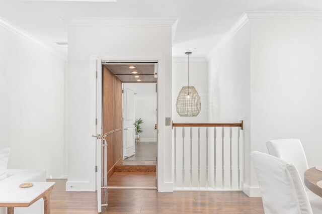 211 2nd St, Saint Augustine, FL 32080 - hall with wood finished floors and crown molding