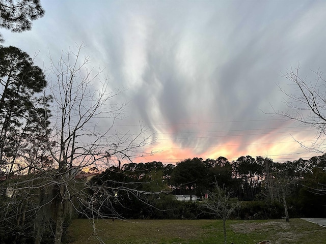 view of nature at dusk