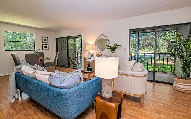 living room featuring a textured ceiling and hardwood / wood-style flooring