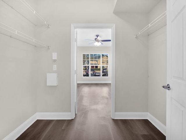 walk in closet featuring dark wood-style floors, attic access, and a ceiling fan