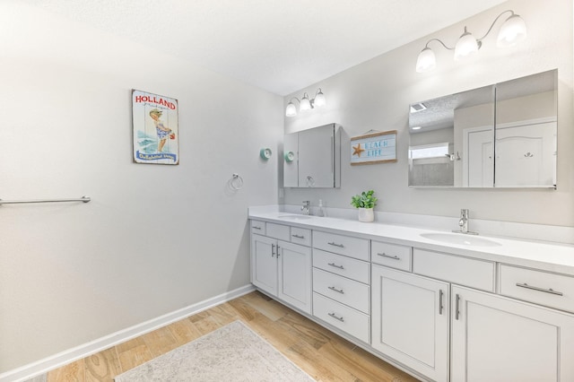 bathroom with double vanity, wood finished floors, baseboards, and a sink