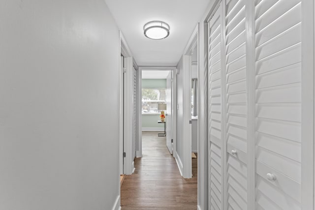 7 Andalusia Ct, Saint Augustine, FL 32086 - hall with wood finished floors and baseboards