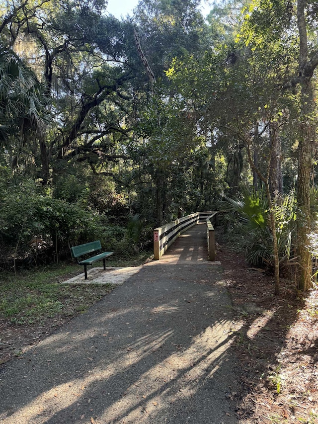 7 Andalusia Ct, Saint Augustine, FL 32086 - view of road