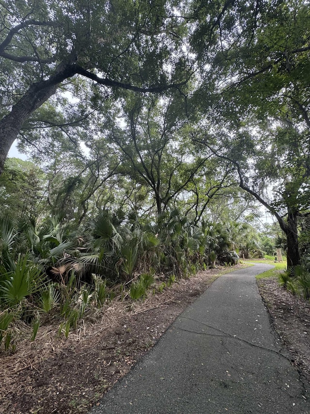 7 Andalusia Ct, Saint Augustine, FL 32086 - view of road
