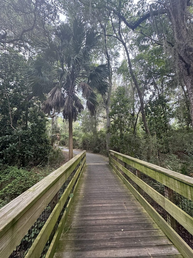 7 Andalusia Ct, Saint Augustine, FL 32086 - view of dock