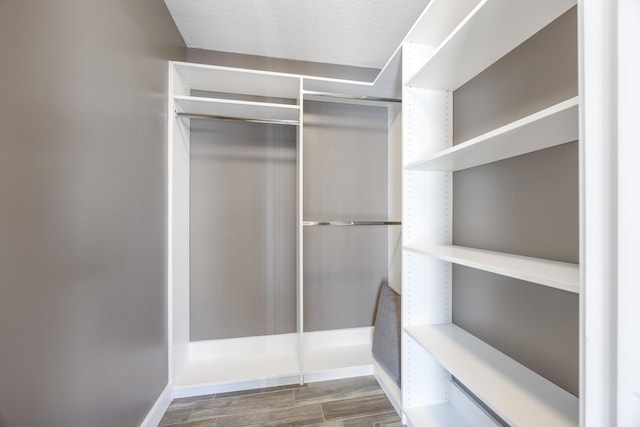 walk in closet featuring wood-type flooring