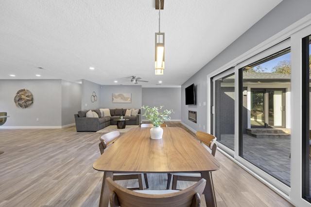 dining area featuring ceiling fan, a textured ceiling, and light hardwood / wood-style flooring