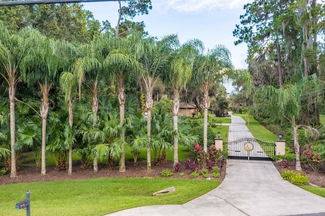 view of property's community with a lawn