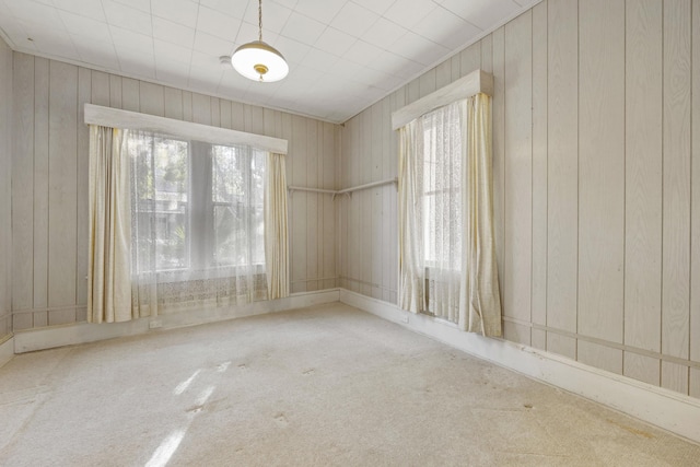 unfurnished room with wood walls and carpet floors