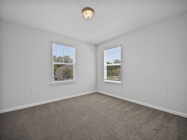 spare room featuring carpet, plenty of natural light, and a textured ceiling