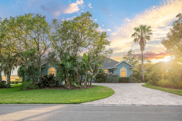 813 Kalli Creek Ln, Saint Augustine, FL 32080 - obstructed view of property with decorative driveway, a yard, and stucco siding