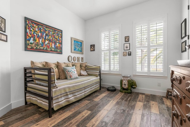 living area with dark hardwood / wood-style floors