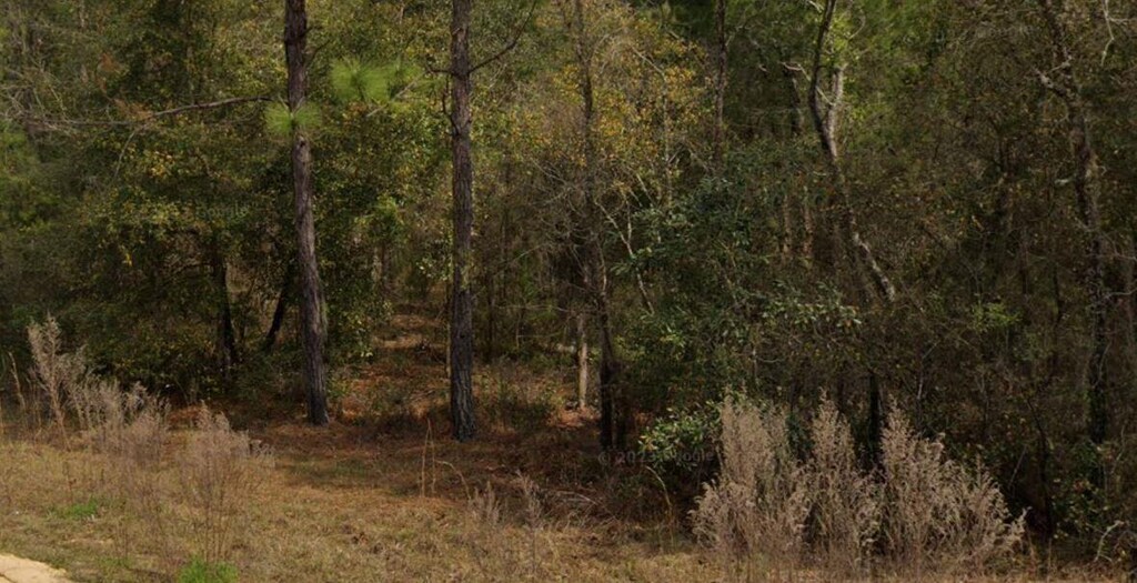 0 Marion Ave, Interlachen, FL 32148 - photo 1