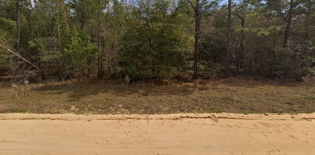 0 Marion Ave, Interlachen, FL 32148 - photo 2