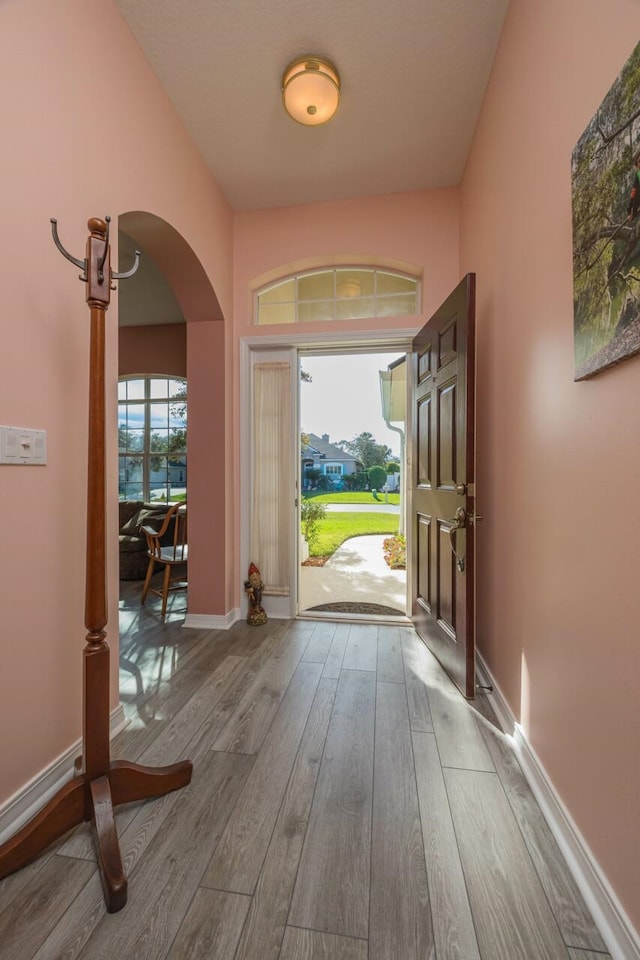 foyer entrance with hardwood / wood-style floors and plenty of natural light