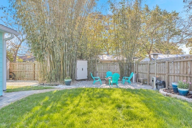 view of yard featuring a patio and a fenced backyard