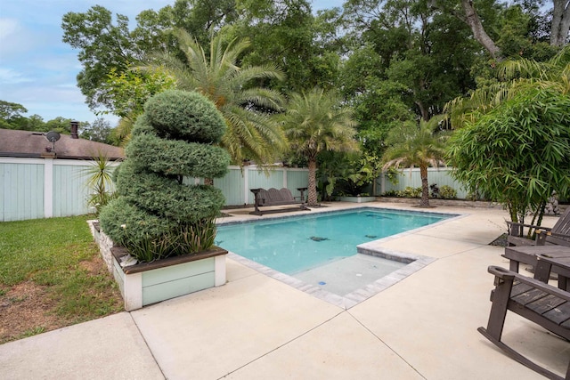 view of swimming pool with a patio area, a fenced backyard, and a fenced in pool