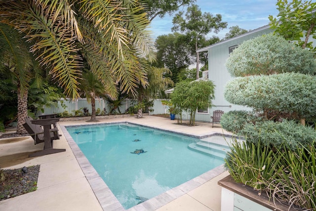 view of pool featuring a fenced in pool, a fenced backyard, and a patio