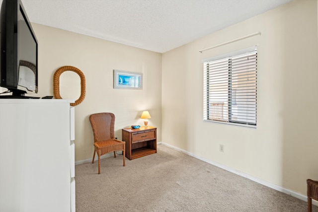 living area featuring carpet flooring, baseboards, and a textured ceiling