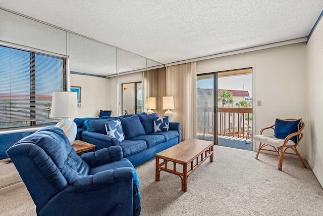 carpeted living area featuring a textured ceiling