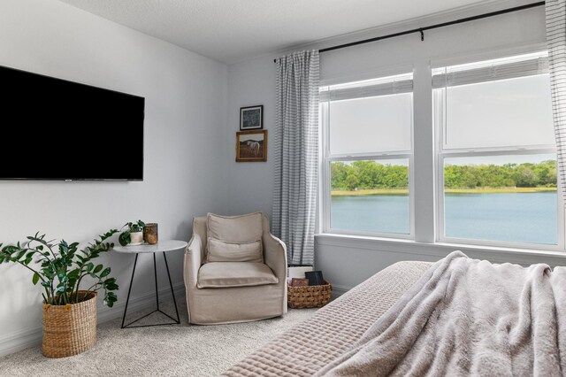 carpeted bedroom featuring baseboards and a water view