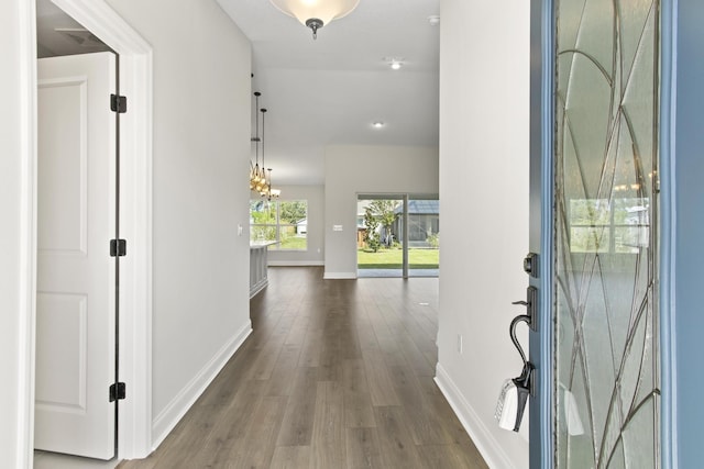 entryway with dark hardwood / wood-style floors