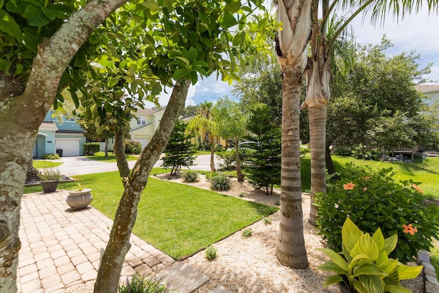 view of yard featuring concrete driveway