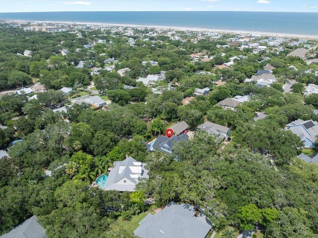 1104 Laughing Gull Ln, Saint Augustine, FL 32080 - photo 77