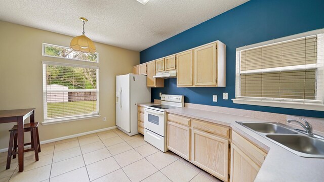 281 Sondra Cove Trl, Jacksonville, FL 32225 - photo 6