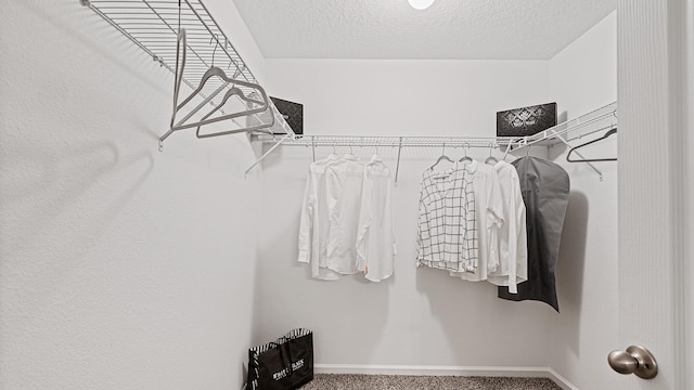 walk in closet with carpet