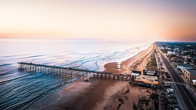 drone / aerial view of expansive coastline