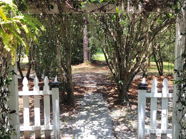 427 E Bannerville Rd, Palatka, FL 32177 - photo 4