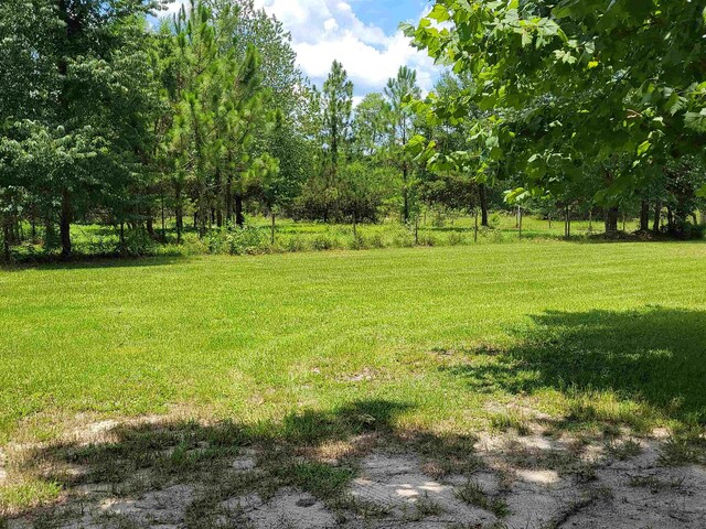 427 E Bannerville Rd, Palatka, FL 32177 - photo 43