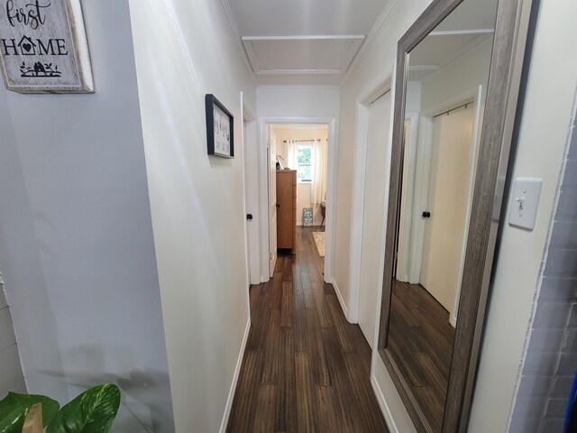 427 E Bannerville Rd, Palatka, FL 32177 - photo 28