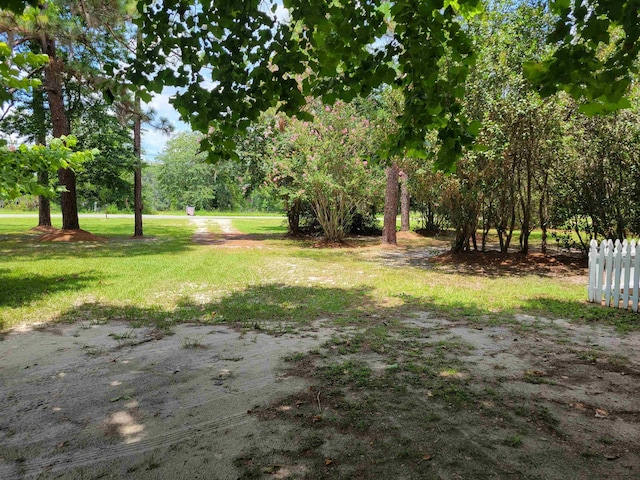 427 E Bannerville Rd, Palatka, FL 32177 - photo 44