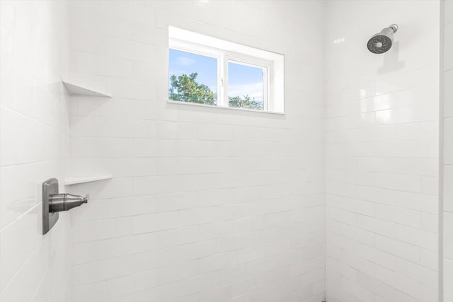 interior details with tiled shower