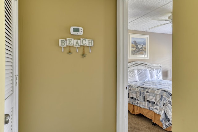 interior details featuring carpet floors, ceiling fan, and a textured ceiling