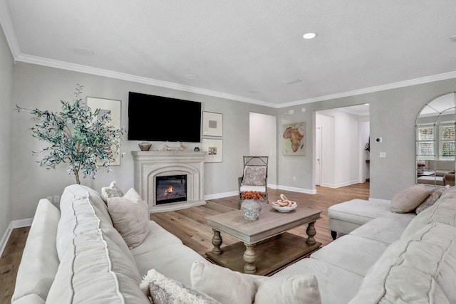 119 Duck Pond Dr, Saint Augustine, FL 32086 - living room featuring a glass covered fireplace, wood finished floors, and baseboards