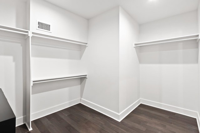 walk in closet featuring dark wood-type flooring