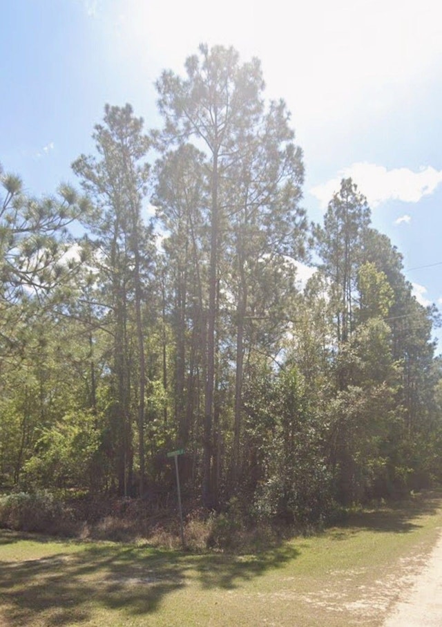 00 Magnolia Ave, Georgetown FL, 32139 land for sale