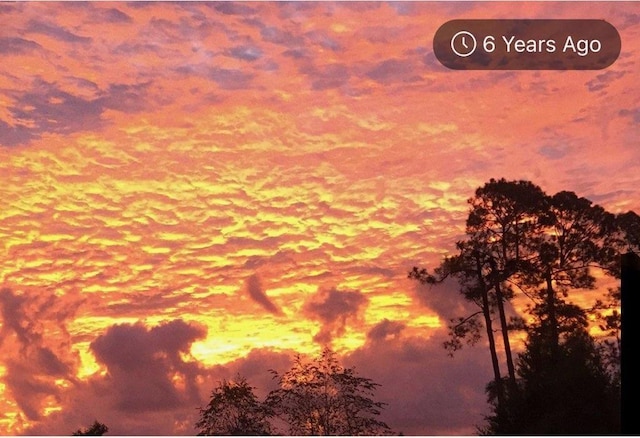5850 Cypress Estates Dr, Elkton, FL 32033 - view of nature at dusk