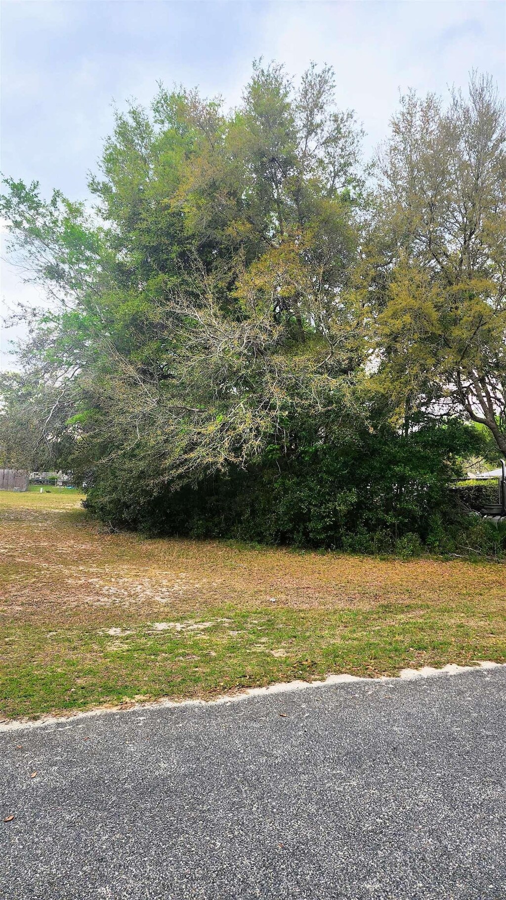 Salem St, Interlachen, FL 32148 - photo 1