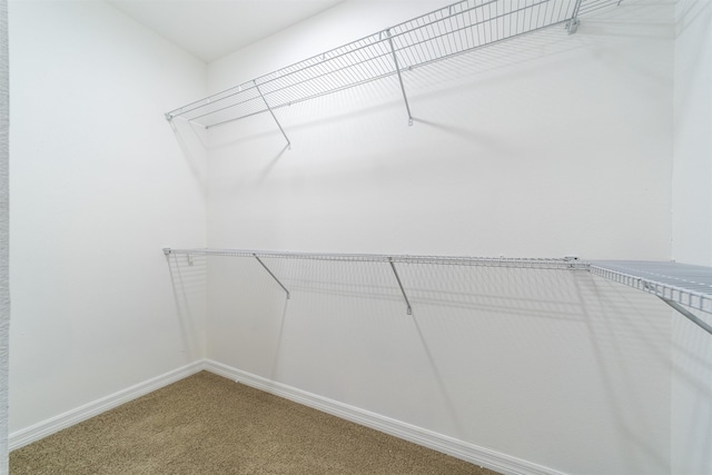 181 Fonseca Dr, Saint Augustine, FL 32086 - photo 20
