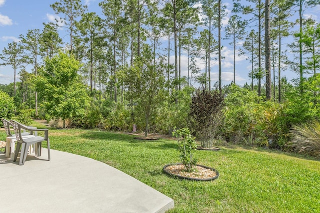 view of yard with a patio