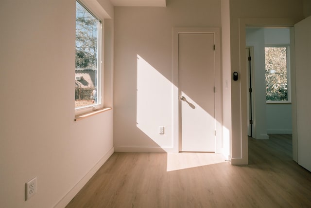 spare room featuring light hardwood / wood-style flooring and a wealth of natural light