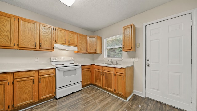 kitchen featuring white electric stove, light countertops, dark wood-type flooring, a sink, and under cabinet range hood