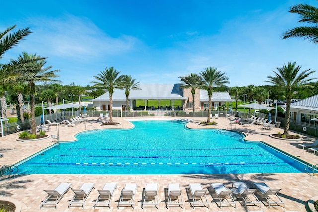 view of swimming pool featuring a patio