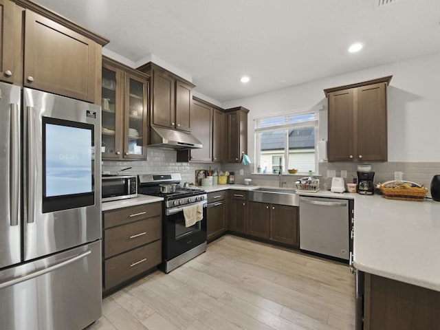 kitchen featuring dark brown cabinetry, stainless steel appliances, light hardwood / wood-style flooring, and sink