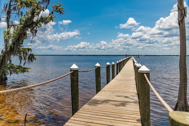 110 Oak Park Dr, Saint Johns, FL 32259 - photo 41