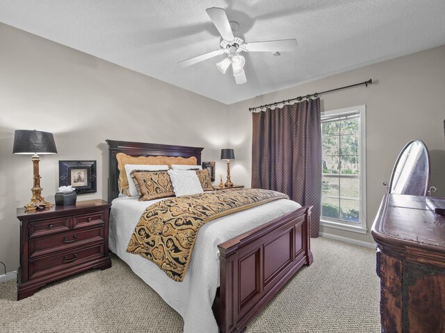 257 S County Road 13, Saint Augustine, FL 32092 - photo 6